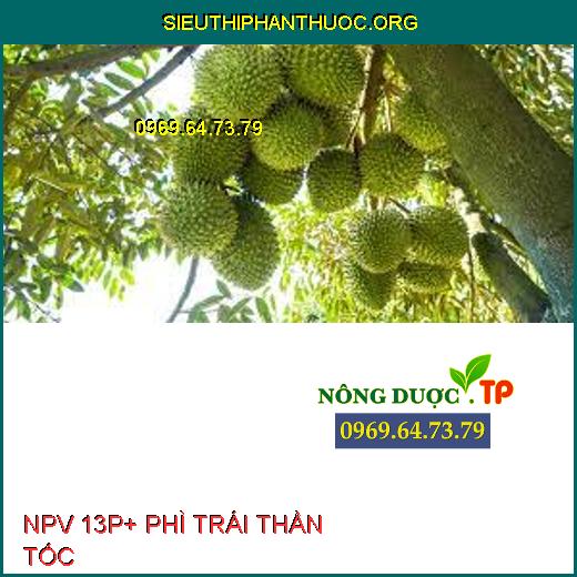 NPV 13P+ PHÌ TRÁI THẦN TỐC