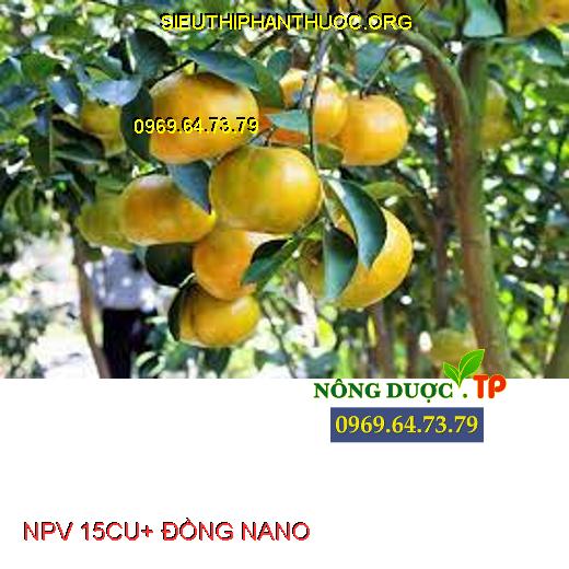 NPV 15CU+ ĐỒNG NANO