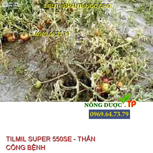 TILMIL SUPER 550SE - THÂN CÔNG BỆNH
