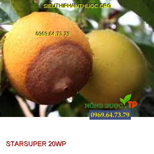 STARSUPER 20WP