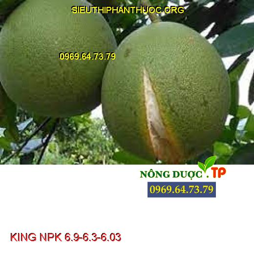 KING NPK 6.9-6.3-6.03