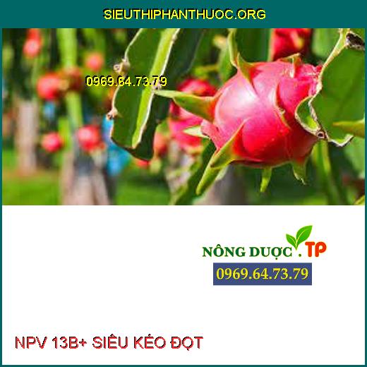 NPV 13B+ SIÊU KÉO ĐỌT