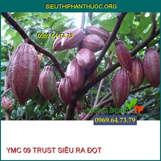 YMC 09 TRUST SIÊU RA ĐỌT