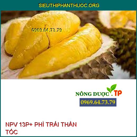 NPV 13P+ PHÌ TRÁI THẦN TỐC