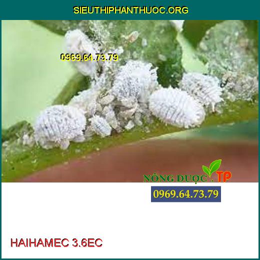  HAIHAMEC 3.6EC 