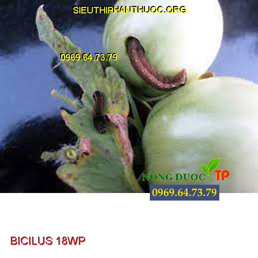 BICILUS 18WP