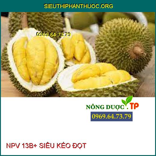 NPV 13B+ SIÊU KÉO ĐỌT