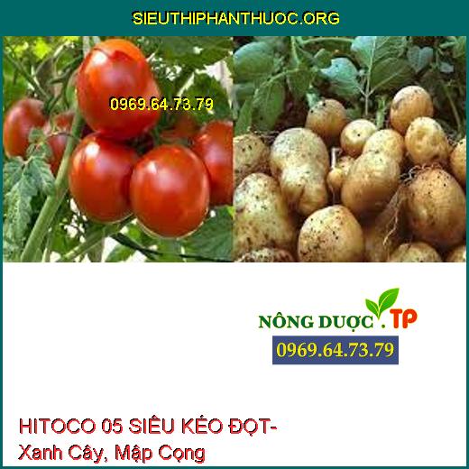 HITOCO 05 SIÊU KÉO ĐỌT- Xanh Cây, Mập Cọng