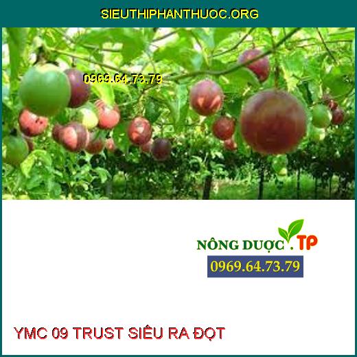 YMC 09 TRUST SIÊU RA ĐỌT