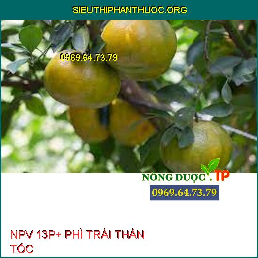 NPV 13P+ PHÌ TRÁI THẦN TỐC