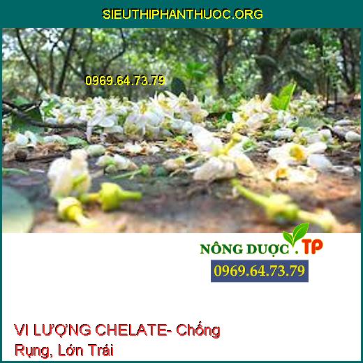 VI LƯỢNG CHELATE- Chống Rụng, Lớn Trái