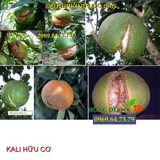 KALI HỮU CƠ