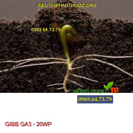 GIBB GA3 - 20WP