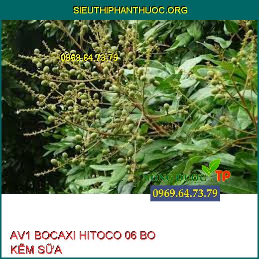 AV1 BOCAXI HITOCO 06 BO KẼM SỮA