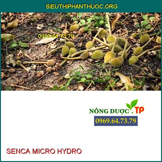 SENCA MICRO HYDRO 