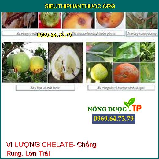 VI LƯỢNG CHELATE- Chống Rụng, Lớn Trái