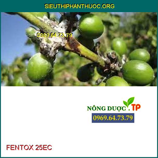 FENTOX 25EC