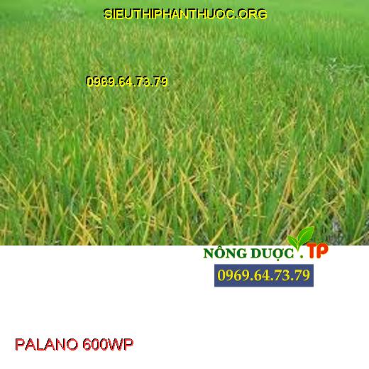 PALANO 600WP