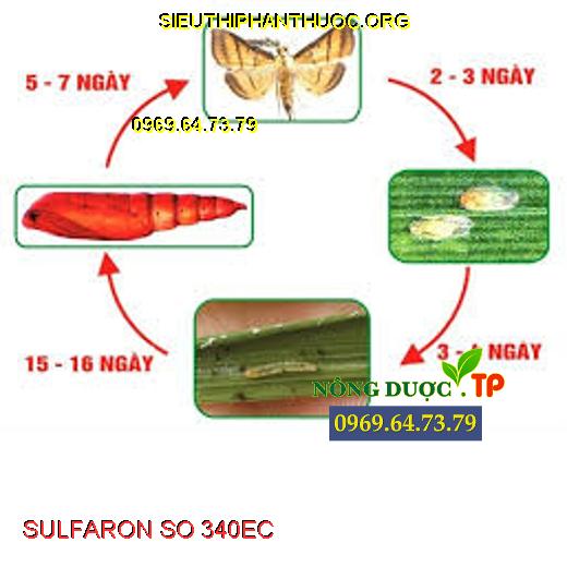 Sử dụng SULFARON SO 340EC  để diệt