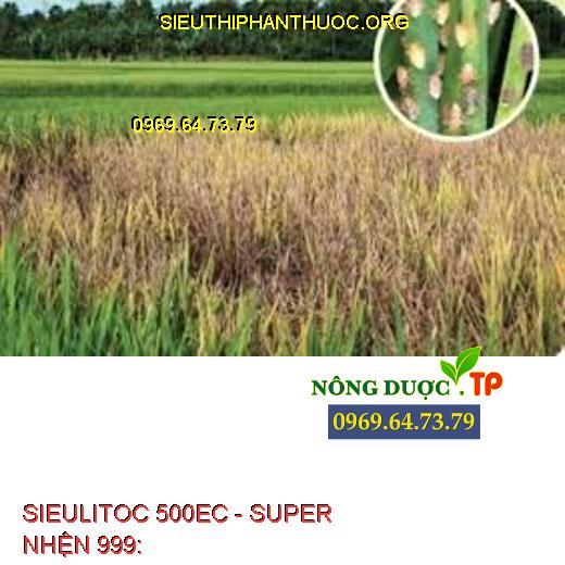SIEULITOC 500EC SUPER NHỆN 999