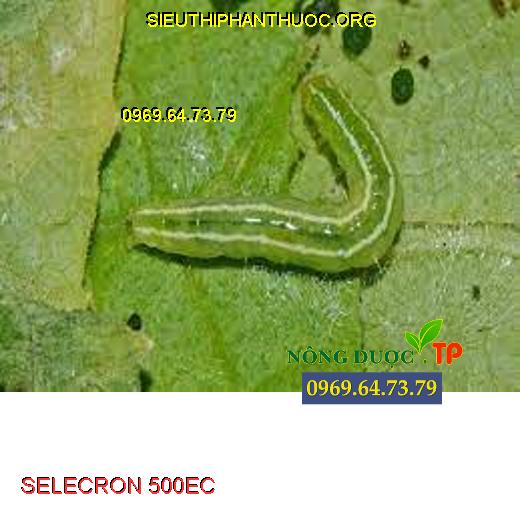 SELECRON 500EC