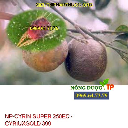 NP-CYRIN SUPER 250EC - CYRIUXGOLD 300