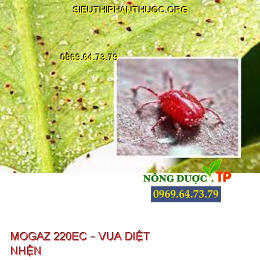 MOGAZ 220EC – VUA DIỆT NHỆN