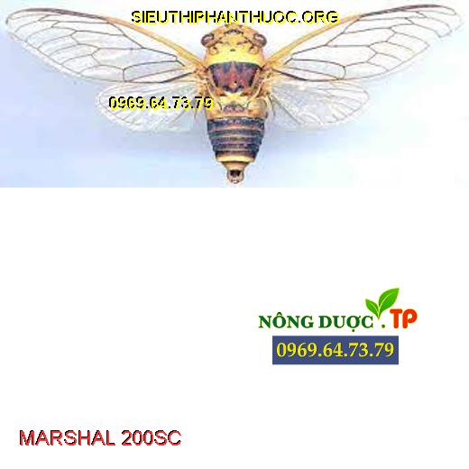 MARSHAL 200SC