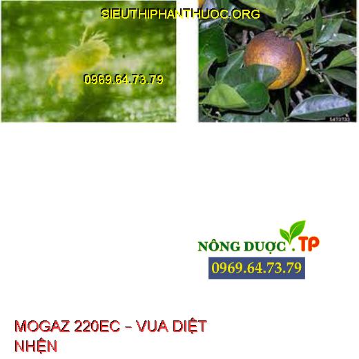 MOGAZ 220EC – VUA DIỆT NHỆN