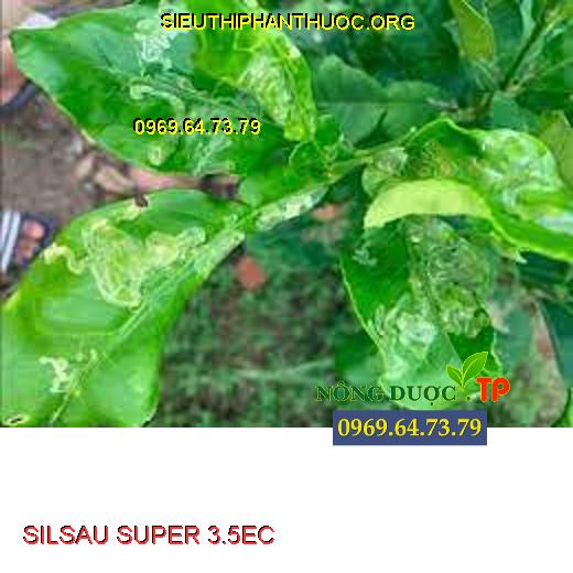 SILSAU SUPER 3.5EC