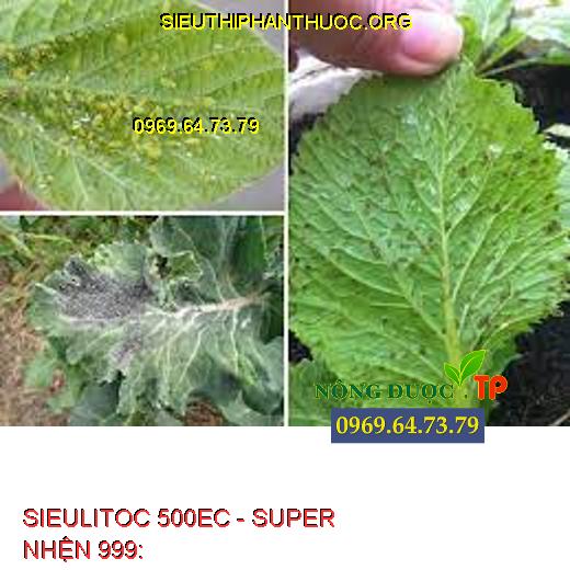 SIEULITOC 500EC SUPER NHỆN 999