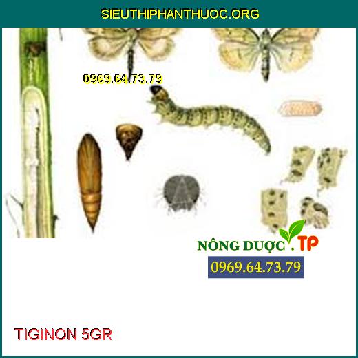 TIGINON 5GR