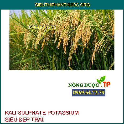 KALI SULPHATE POTASSIUM SIÊU ĐẸP TRÁI