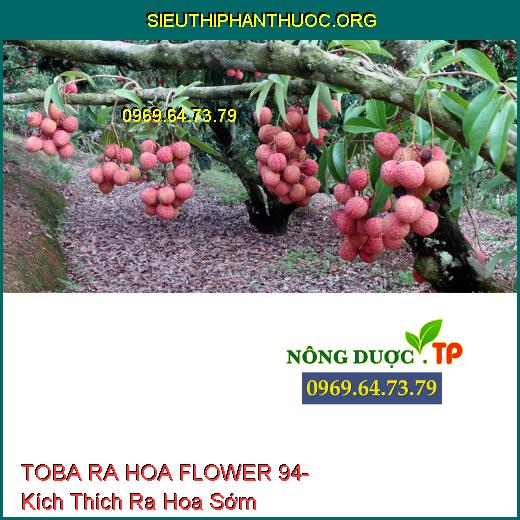 TOBA RA HOA FLOWER 94- Kích Thích Ra Hoa Sớm