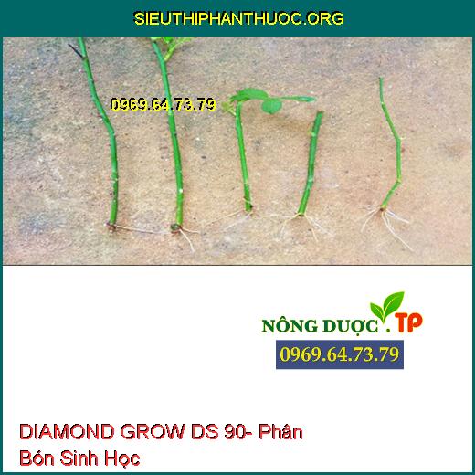 DIAMOND GROW DS 90- Phân Bón Sinh Học