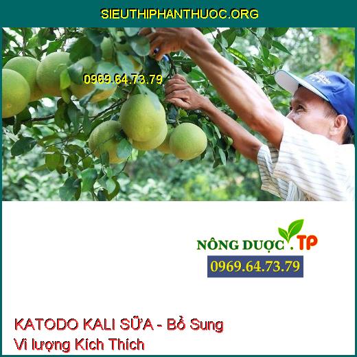 KATODO KALI SỮA - Bổ Sung Vi lượng Kích Thích 