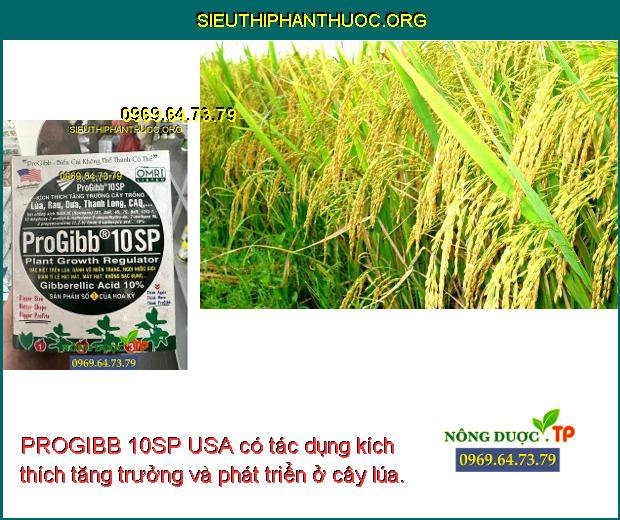 PROGIBB 10SP USA có tác dụng kích thích tăng trưởng và phát triển ở cây lúa.