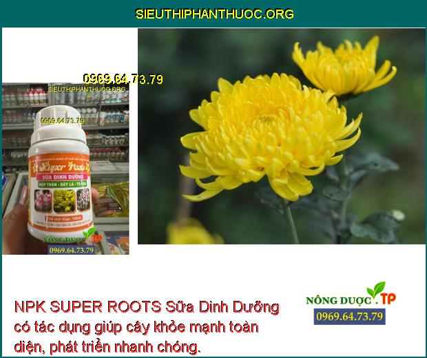 NPK SUPER ROOTS Sữa Dinh Dưỡng có tác dụng giúp cây khỏe mạnh toàn diện, phát triển nhanh chóng.