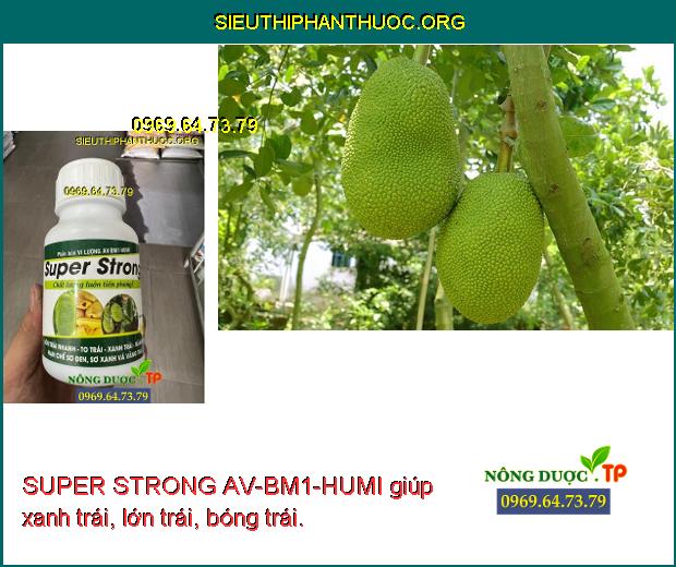 SUPER STRONG AV-BM1-HUMI giúp xanh trái, lớn trái, bóng trái.