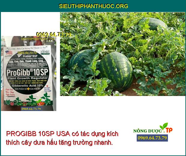 PROGIBB 10SP USA có tác dụng kích thích cây dưa hấu tăng trưởng nhanh.