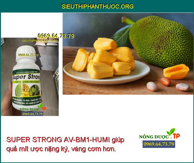 SUPER STRONG AV-BM1-HUMI giúp quả mít ược nặng ký, vàng cơm hơn.