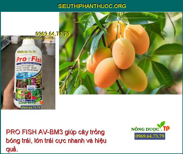PRO FISH AV-BM3 giúp cây trồng bóng trái, lớn trái cực nhanh và hiệu quả.