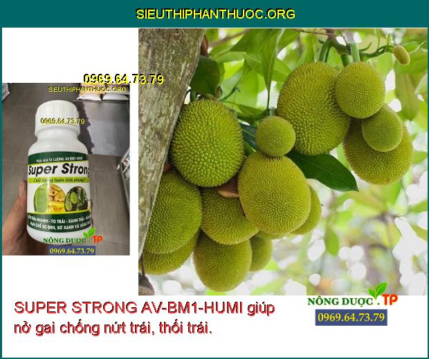 SUPER STRONG AV-BM1-HUMI giúp nở gai chống nứt trái, thối trái.