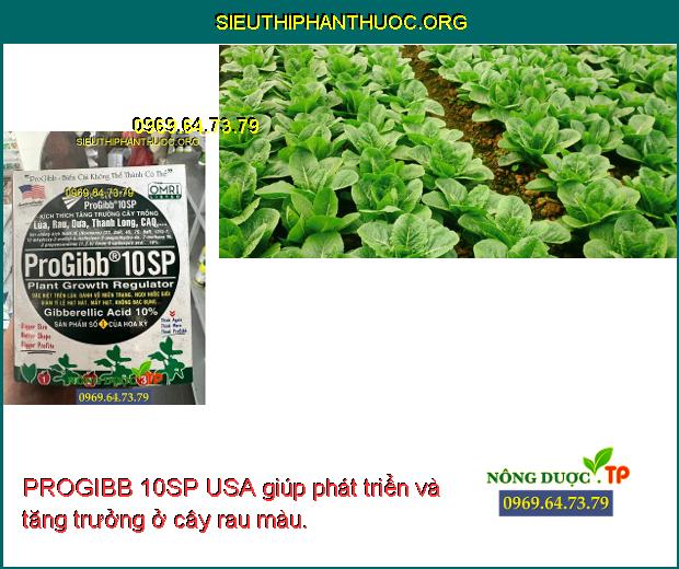 PROGIBB 10SP USA giúp phát triển và tăng trưởng ở cây rau màu.
