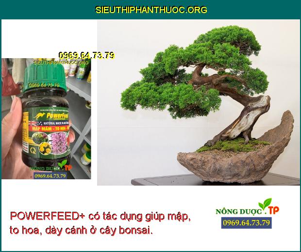 POWERFEED+ có tác dụng giúp mập, to hoa, dày cánh ở cây bonsai.