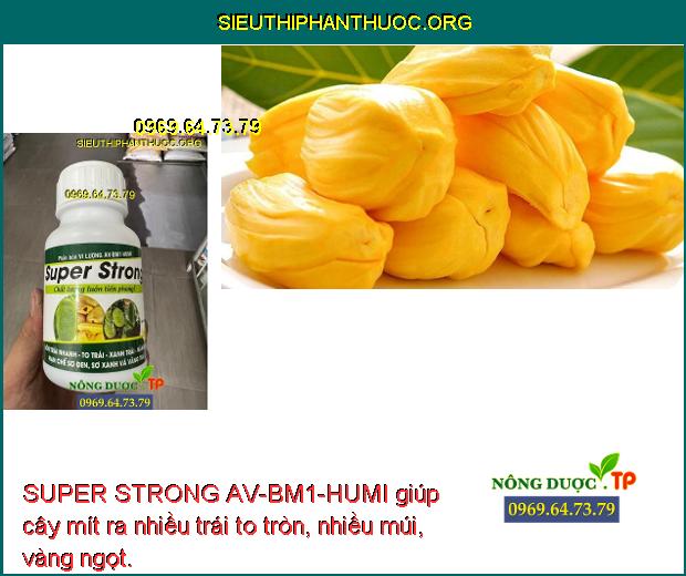 SUPER STRONG AV-BM1-HUMI giúp cây mít ra nhiều trái to tròn, nhiều múi, vàng ngọt.