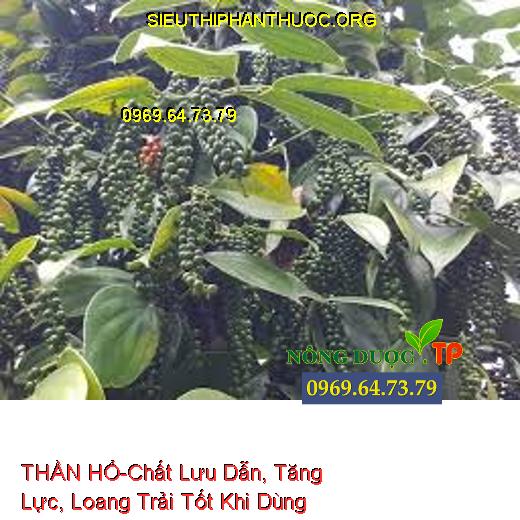 THẦN HỔ-Chất Lưu Dẫn, Tăng Lực, Loang Trải Tốt Khi Dùng Chung TBVTV