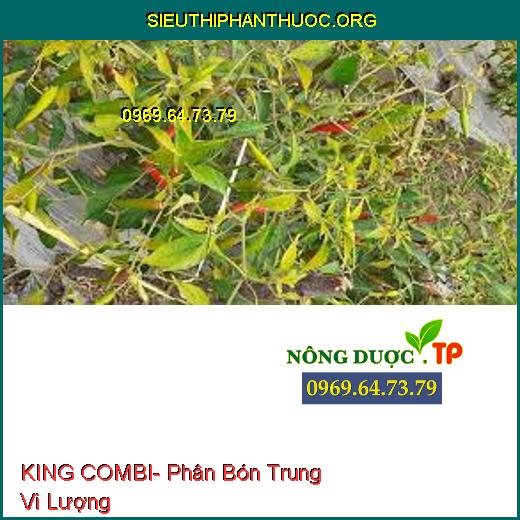 KING COMBI- Phân Bón Trung Vi Lượng