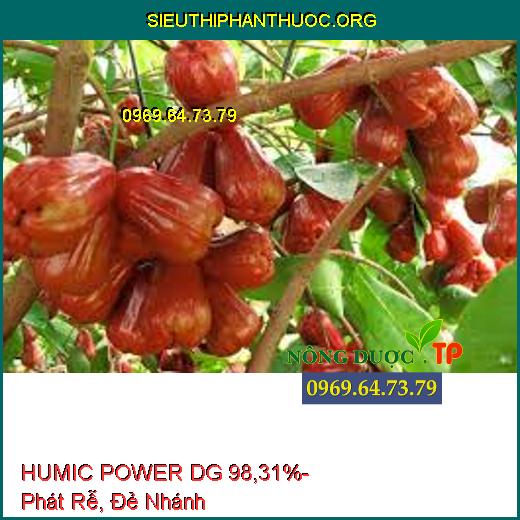 HUMIC POWER DG 98,31%- Phát Rễ, Đẻ Nhánh