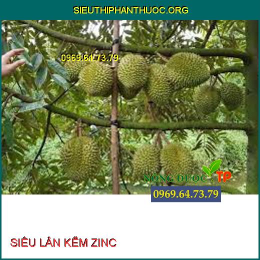 SIÊU LÂN KẼM ZINC